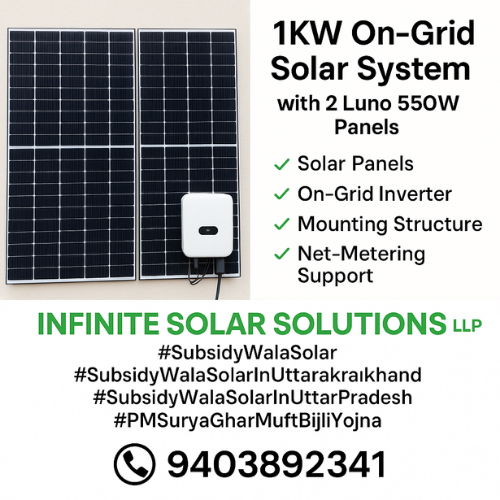 1KW On-Grid Solar System with 2 Luno 550W Panels – Infinite Solar Solutions